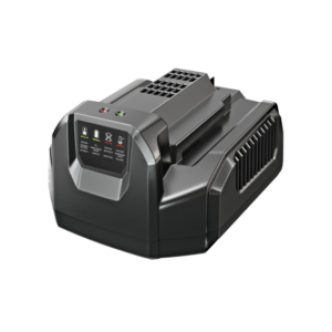 Chargeur standard EGO - CH2100E